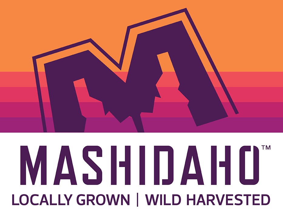 MashIdaho